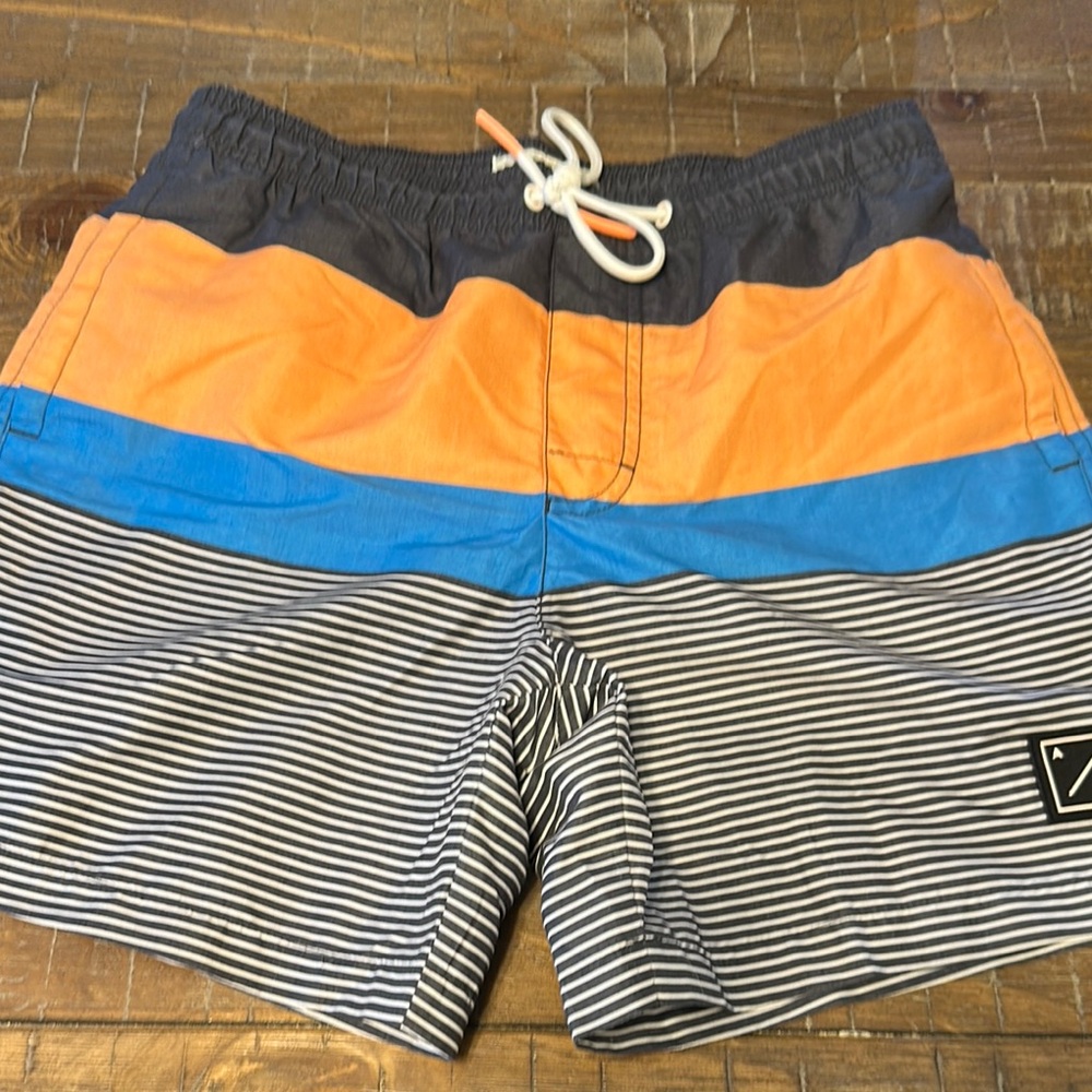 Men's AE Striped Swim Shorts